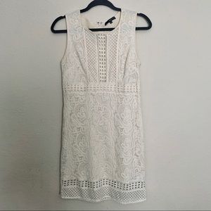 Cream Lace Dress•Matty M